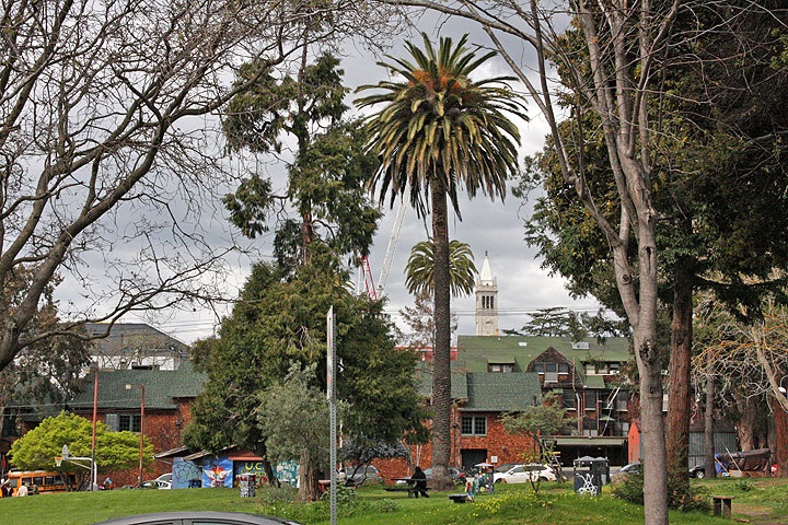 People's Park thumb